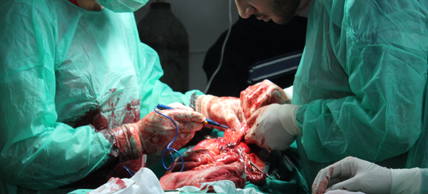 واقع المستشفيات الميدانية في الغوطة  لشرقية 